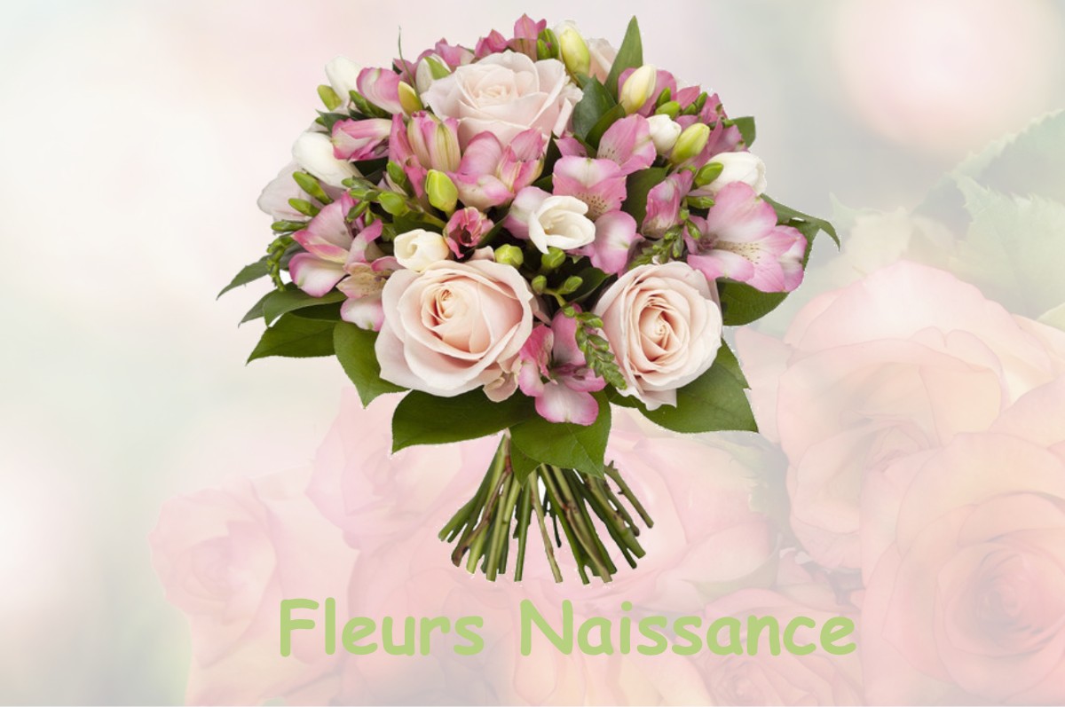 fleurs naissance NOIRON-SOUS-GEVREY