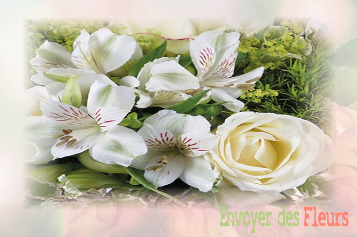 envoyer des fleurs à à NOIRON-SOUS-GEVREY